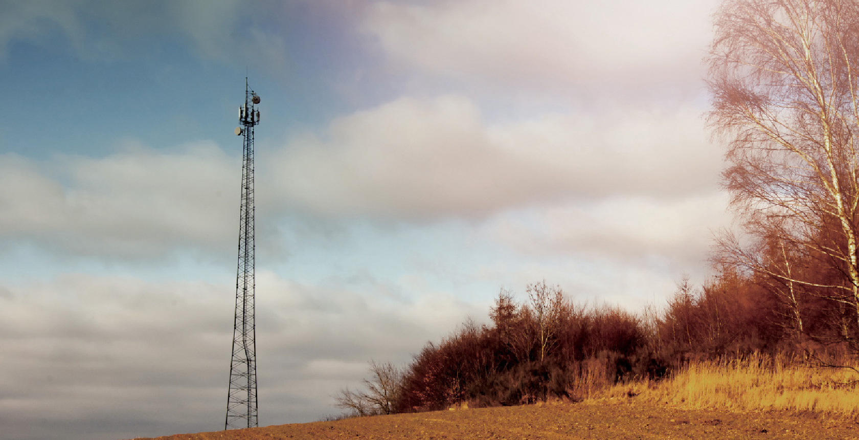 Cellular Backhaul