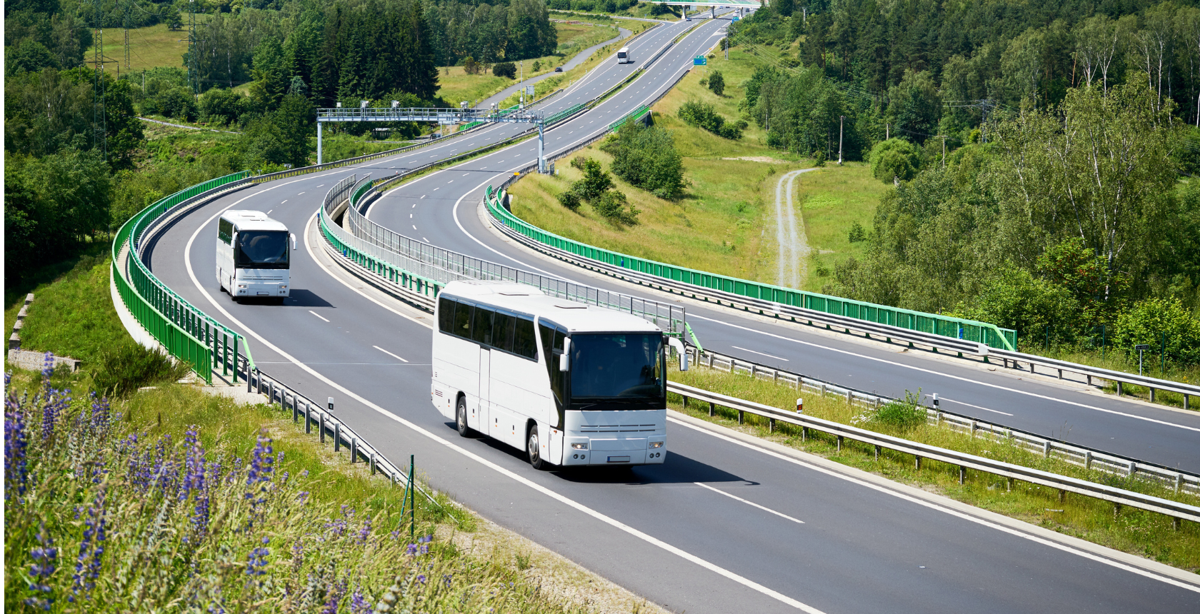 Buses
